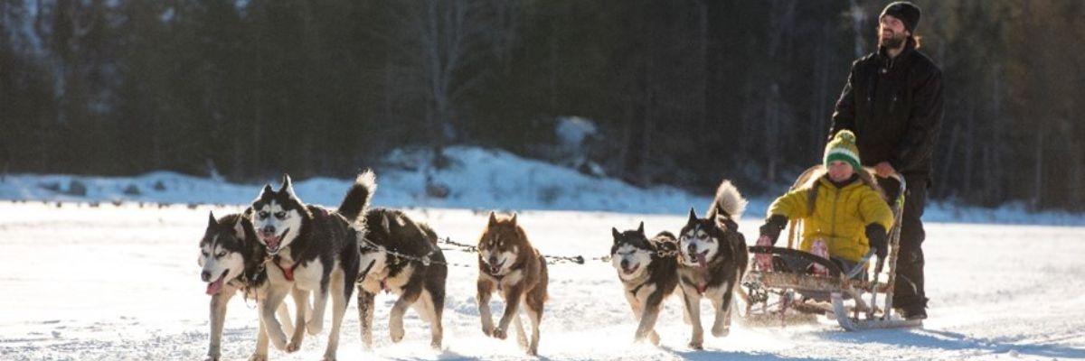Magie hivernale à Saint-Hippolyte, 4 nuits | 5 jours